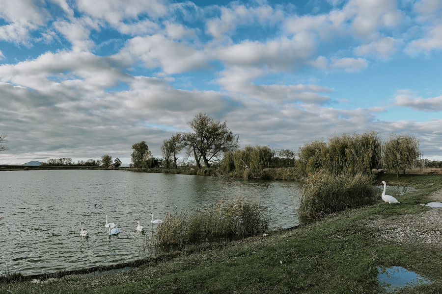 jezero s llabudovima