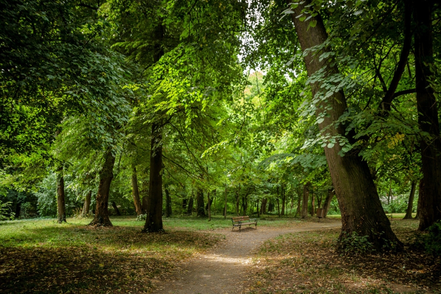 park u valpovu